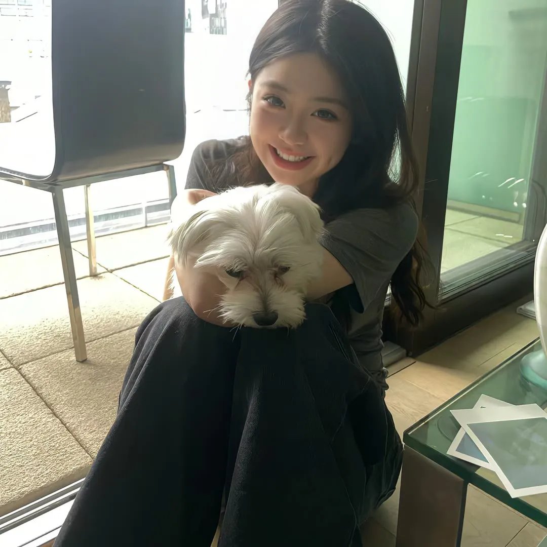 猎杀翼手龙